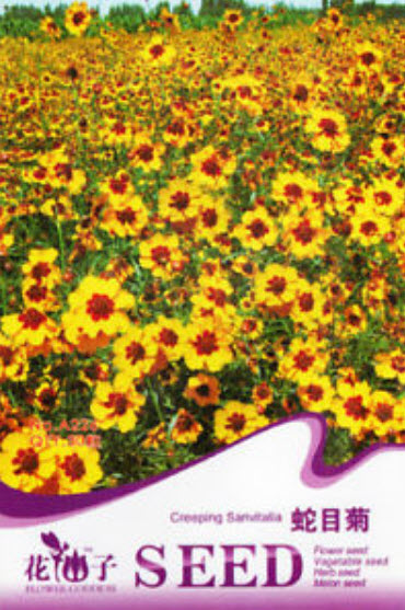 ดอกไม้ไหว (Coreopsis) สีเหลือง / ซอง 30 เม็ด (A226)