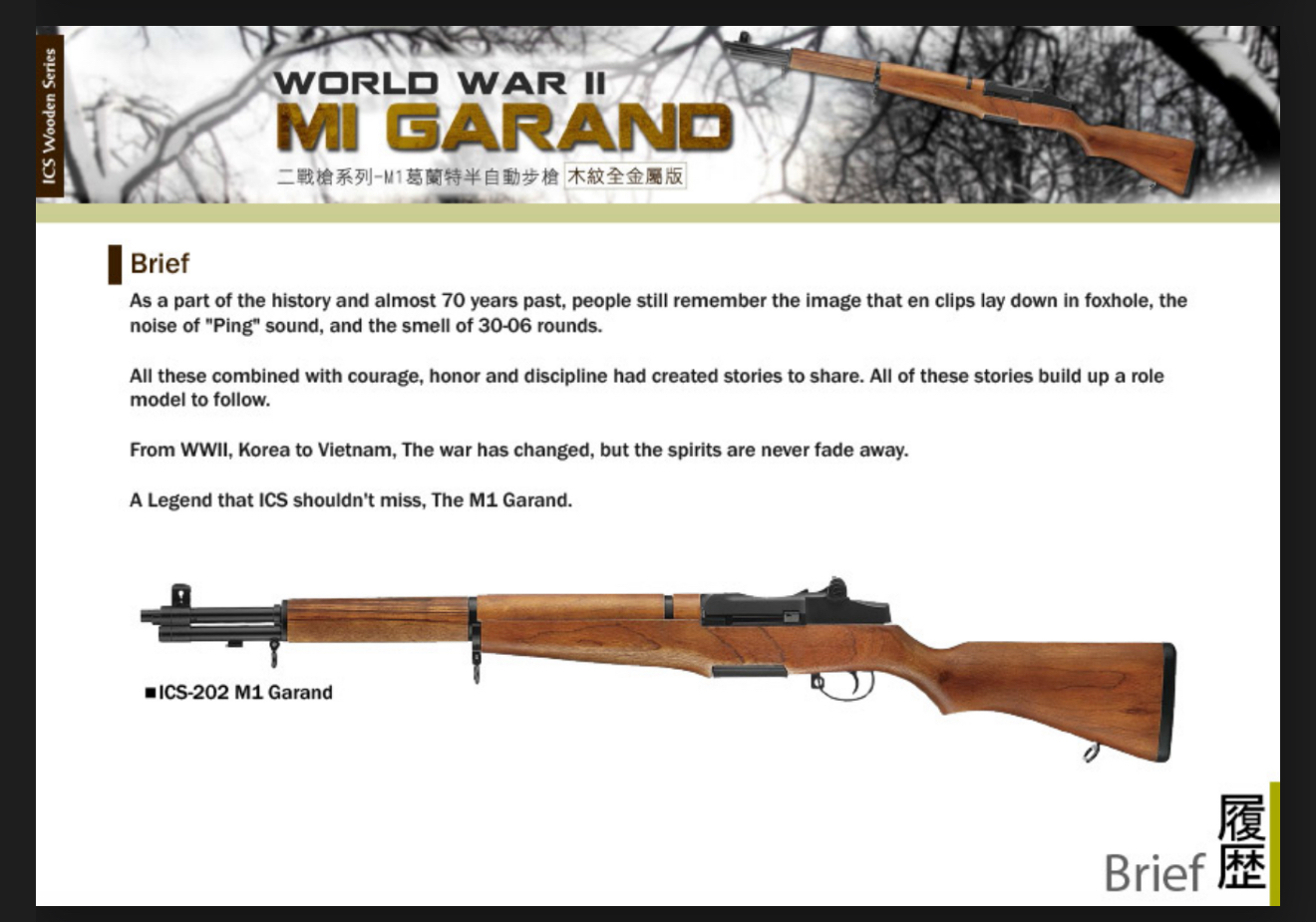 ICS-202 M1 GARAND 6 mm.