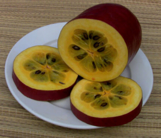 แตงคาซ่าบานานา (Cassabanana) / 5 เม็ด (France)