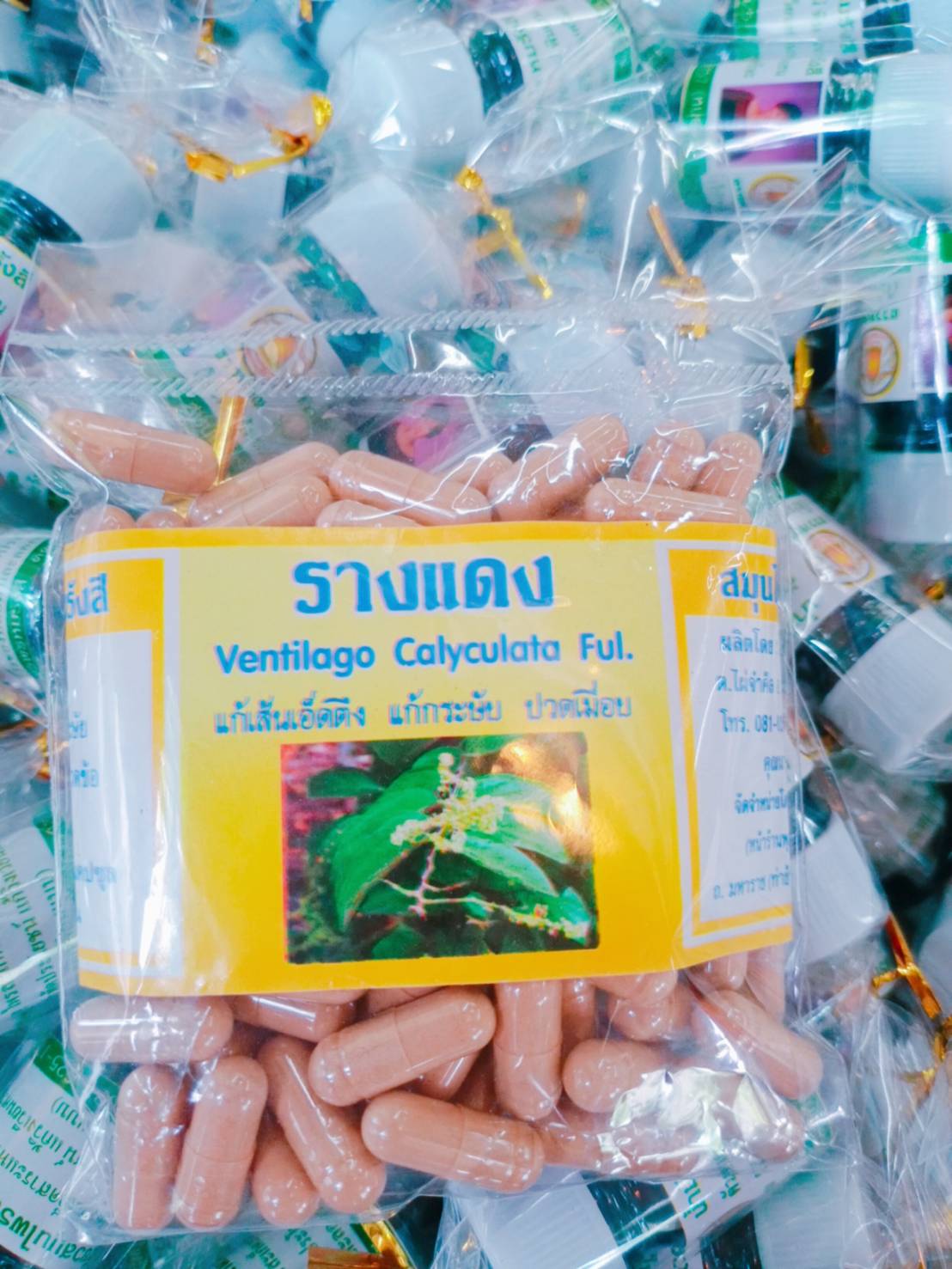 รากแดง พรหมรังสี