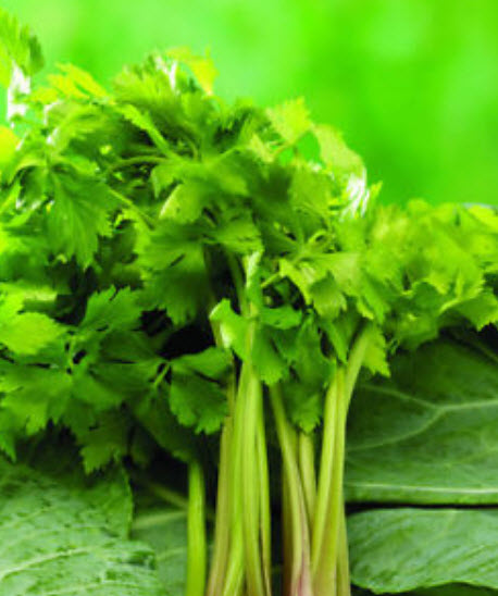 คื่นช่ายนอก / ซอง 50 เม็ด