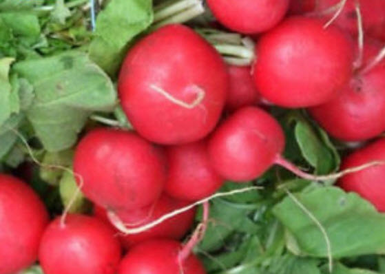 ไชเท้า เชอรี่ เบลล์ (Cherry Belle) คละ / 200 เม็ด (นอก)