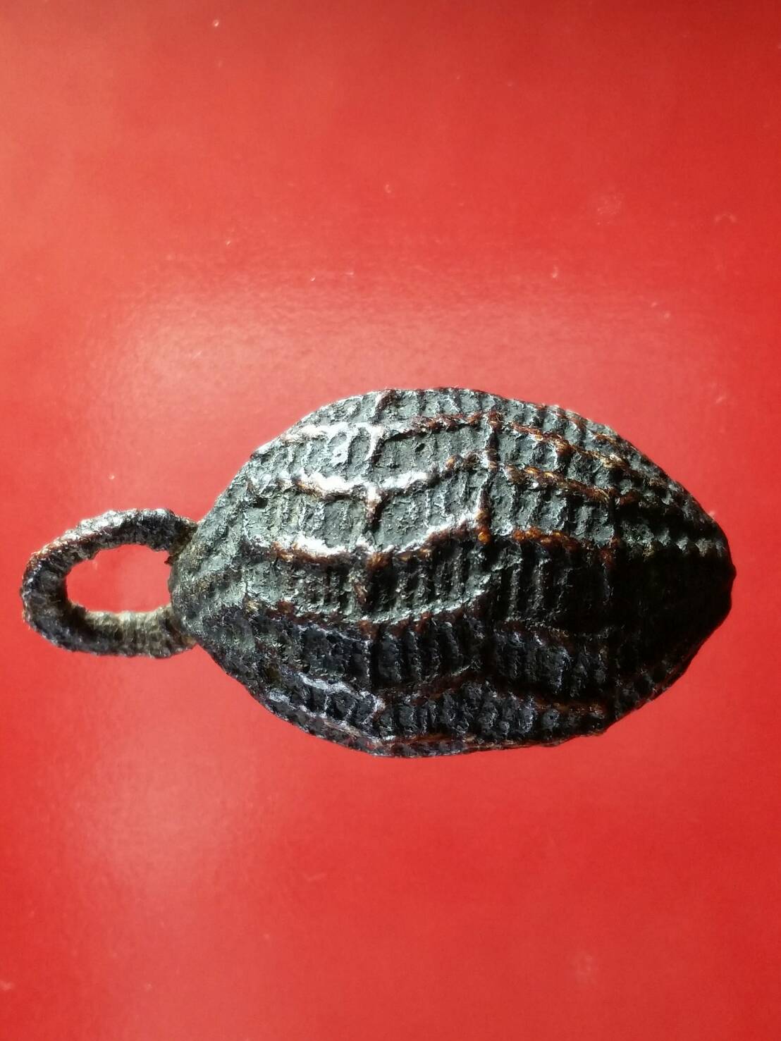 หมากทุยไม่ทราบคณาจารย์