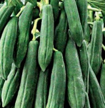 มะละกอส้มตำ หรือมะละกอครั่ง / 10 เม็ด