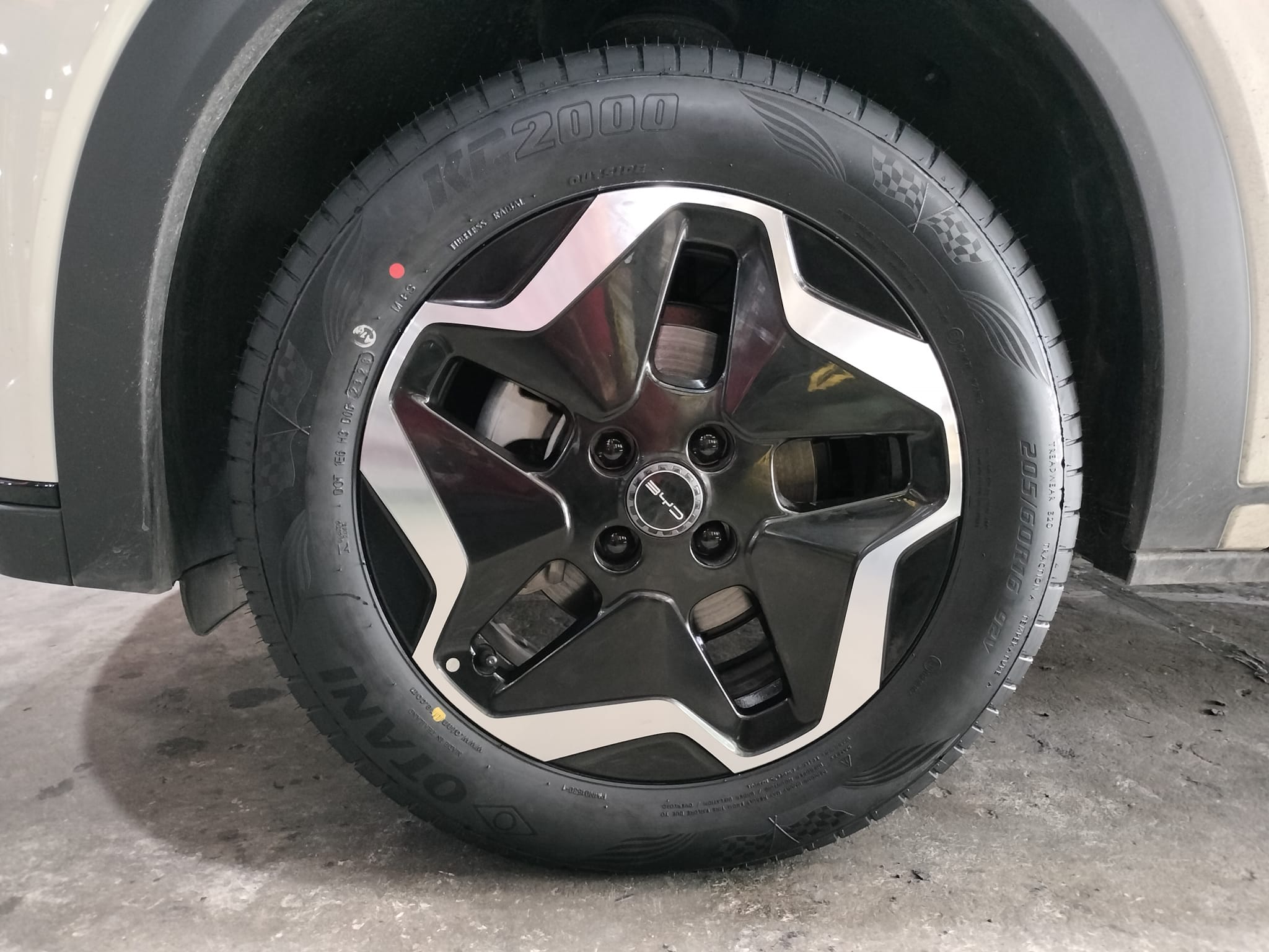 #BYD_DOLPHIN #OTANI_KC2000_205/60R16