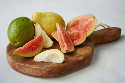 ฝรั่งไส้แดง (Guava) / 50 เม็ด (Russia)