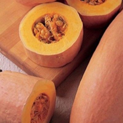 ฟักทองกล้วยสีชมพู / 5 เม็ด (Ukraine)