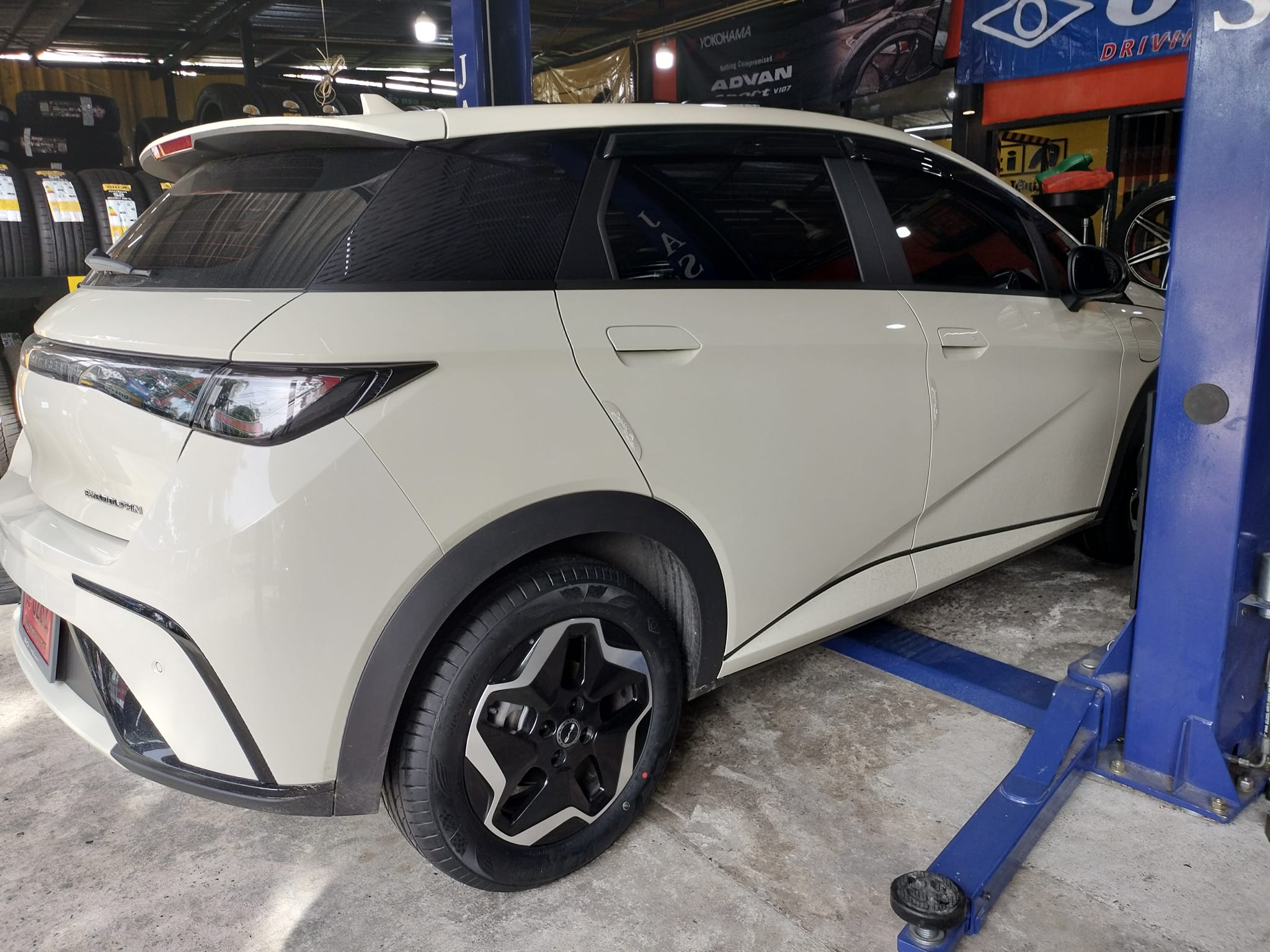 #BYD_DOLPHIN #OTANI_KC2000_205/60R16