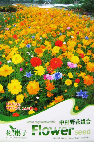 ดอกไม้ป่า (wildflowers) คละ สูง 30-45 ซ.ม. / ซอง 200 เม็ด (K003)