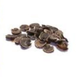 เยอบีร่า (Gerbera) สีน้ำเงิน / 25 เม็ด (หายาก)