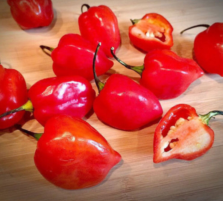 พริก Savina Habanero แดง / 100 เม็ด (China)