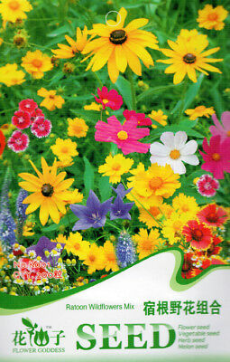 ดอกไม้ป่า (wildflowers) คละ สูง 35-50 ซ.ม. / ซอง 200 เม็ด (K001)