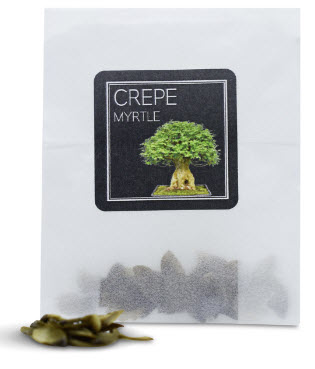 ยี่เข่งบอนไซ (Crepe Myrtle) / 10 เม็ด (UK)*