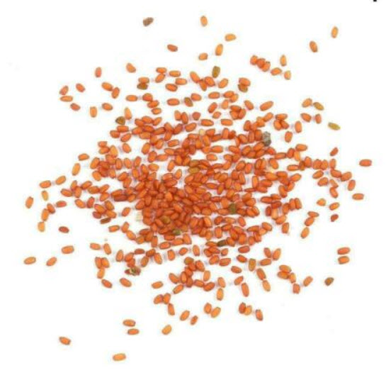 บุดด้า เท็มเปิล (Buddha's Temple) / 100 เม็ด