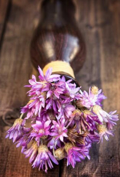 อิมมอร์เทล (Immortelle / Xeranthemum annuum) คละ / 850 เม็ด (Poland)