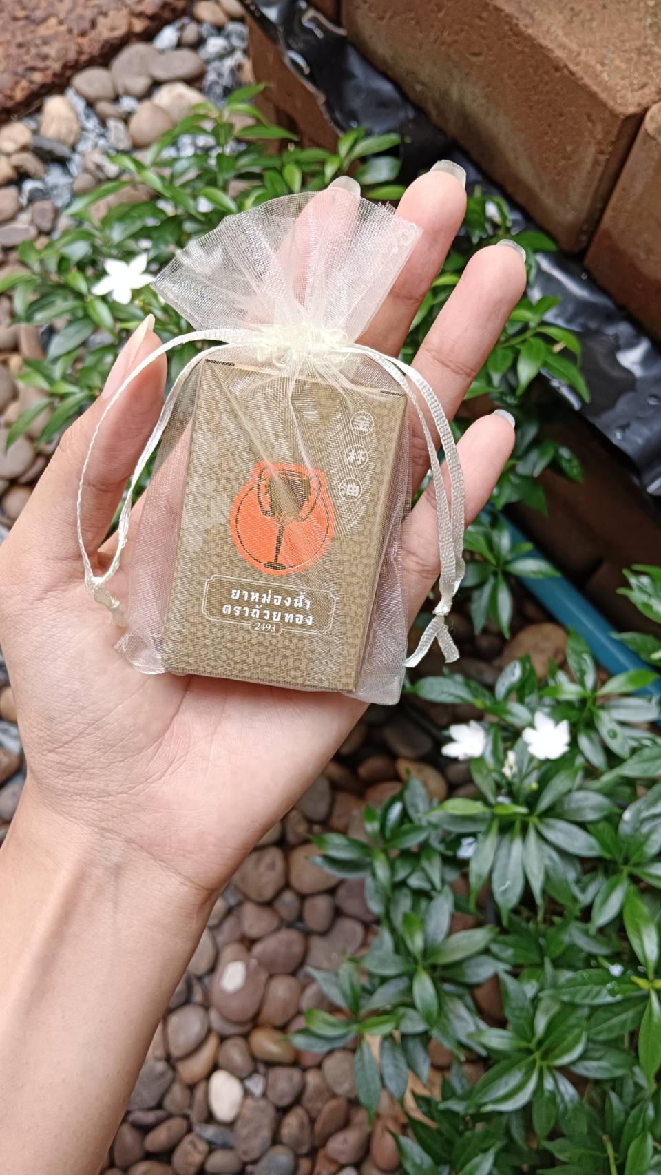 ยาหม่องน้ำ ถ้วยทอง ขนาด3 CC