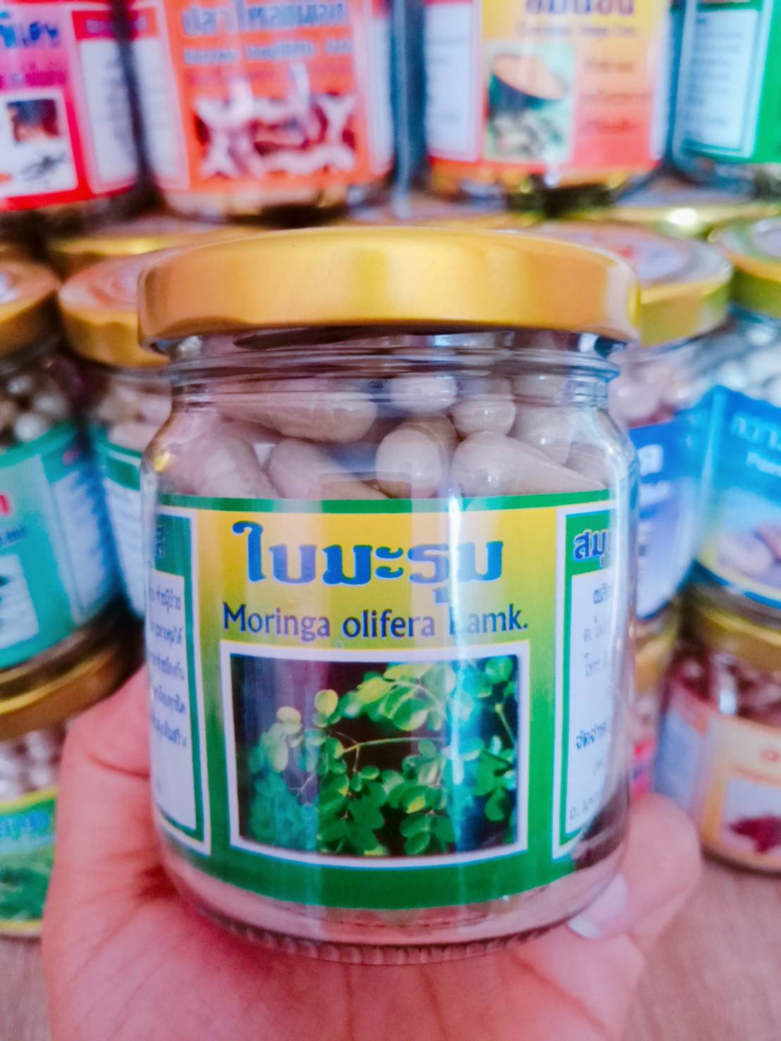 ใบมะรุม สมุนไพรพรหมรังสี