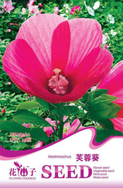 ชบา สีแดง / ซอง 25 เม็ด (A160)