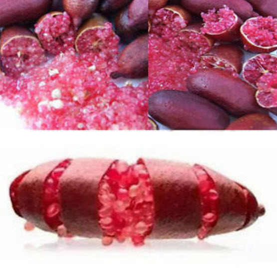 มะนาวนิ้ว (Finger lime) คละ / 20 เม็ด (นอก)