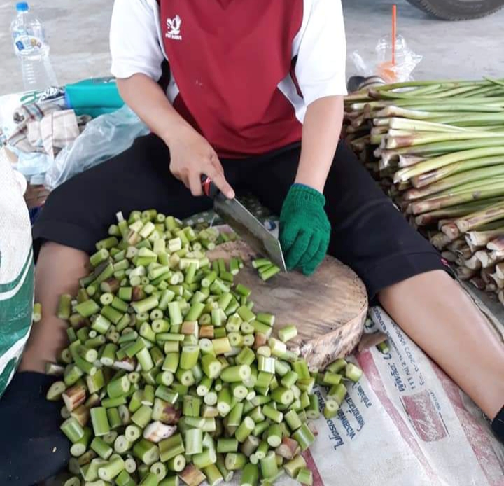 BSS101H : กันกระแทกผักตบชวาหั่นท่อน ราคาส่ง 12 กิโลกรัม