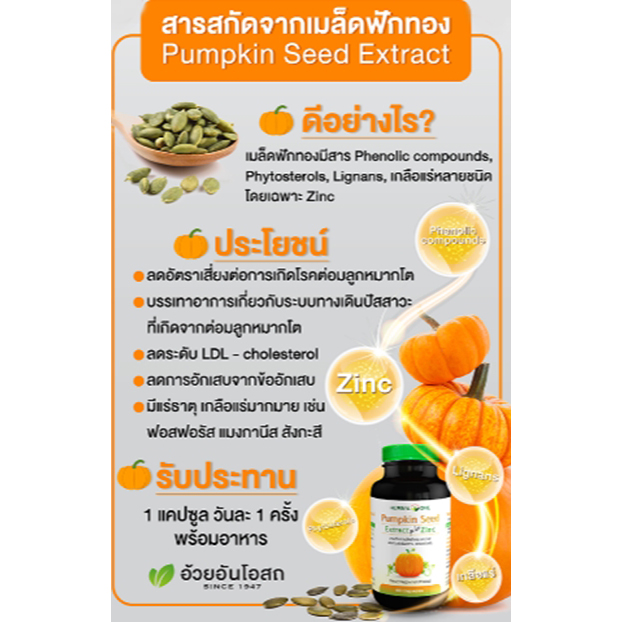 สารสกัดจากเมล็ดฟักทอง Pumpkin Seed Extract