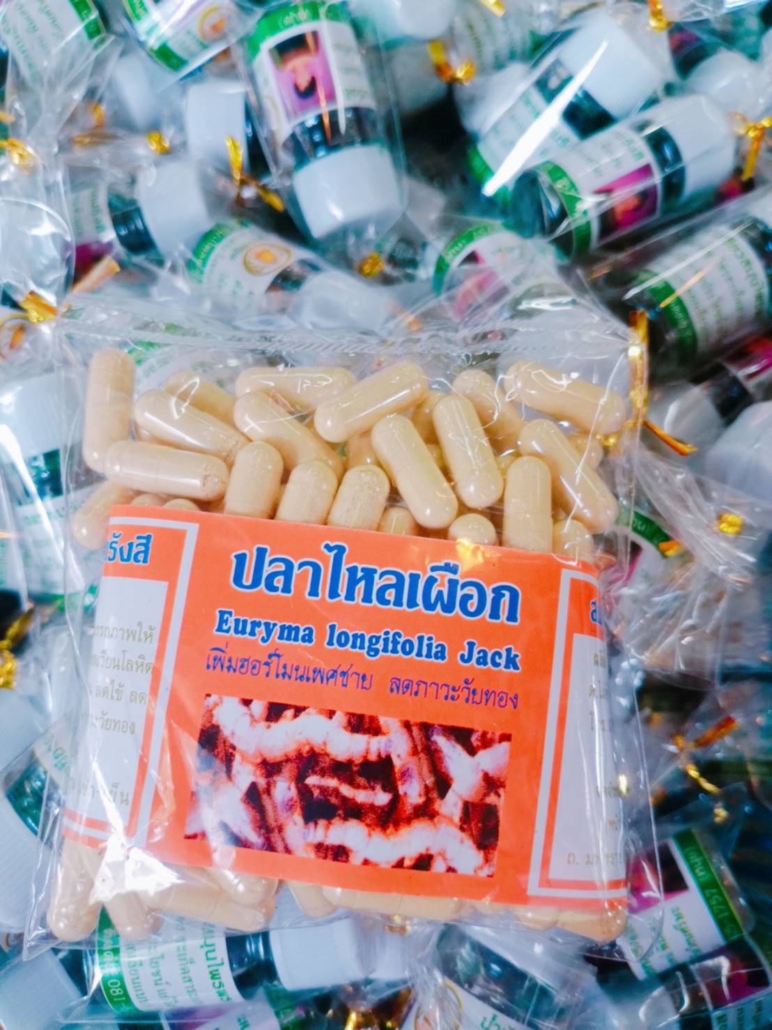 ปลาไหลเผือก พรหมรังสี