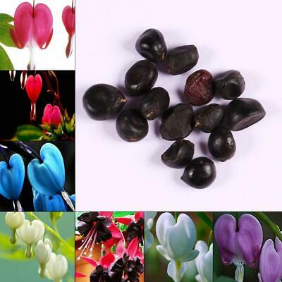 หทัยหยาดทิพย์ (Bleeding Heart) คละ / 20 เม็ด