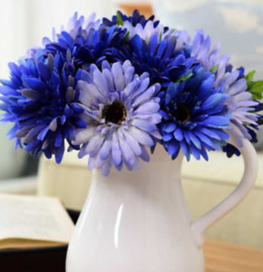 เยอบีร่า สีฟ้า (Majorette Blue Halo) / 100 เม็ด