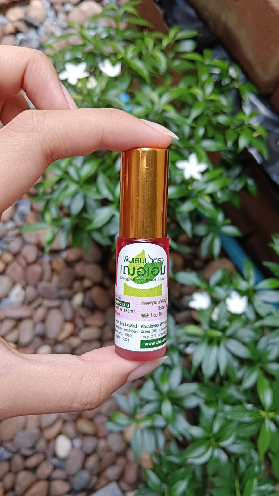 พิมเสนน้ำ เฌอเอม