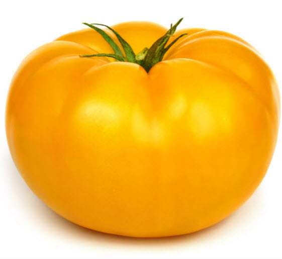 มะเขือเทศ เยลโล่สโตน (Tomato - Yellowstone) / 100 เม็ด (UK) *