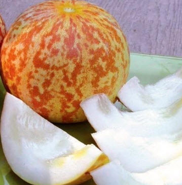 แตงอาร์เมเนีย หรือแตงลายเสือ (Tigger Melon) / 10 เม็ด