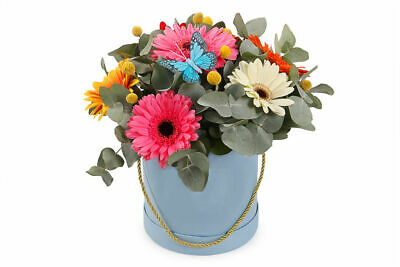 เยอบีร่า (Gerbera) คละสี / 100 เม็ด