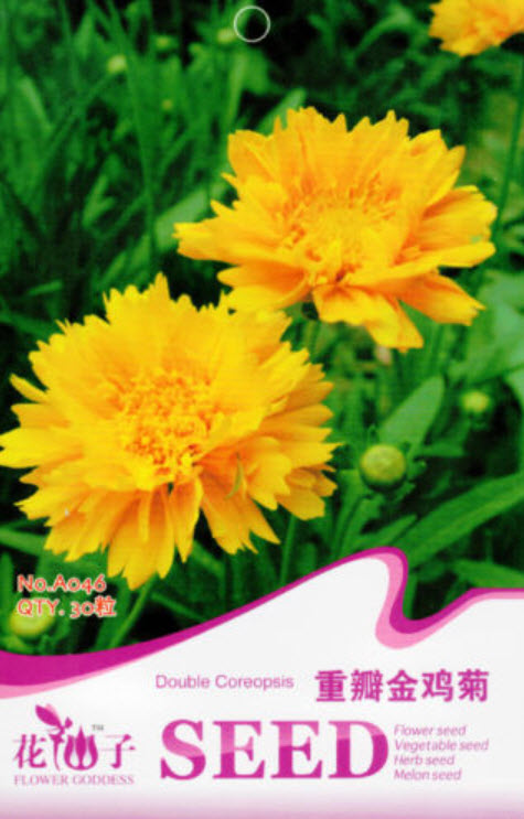 ดอกไม้ไหว (Coreopsis) ดอกซ้อน / ซอง 30 เม็ด (A046)