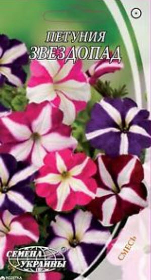 พิทูเนีย สตาร์ฟอล (Petunia Starfall) คละ / 700 เม็ด (Ukraine)