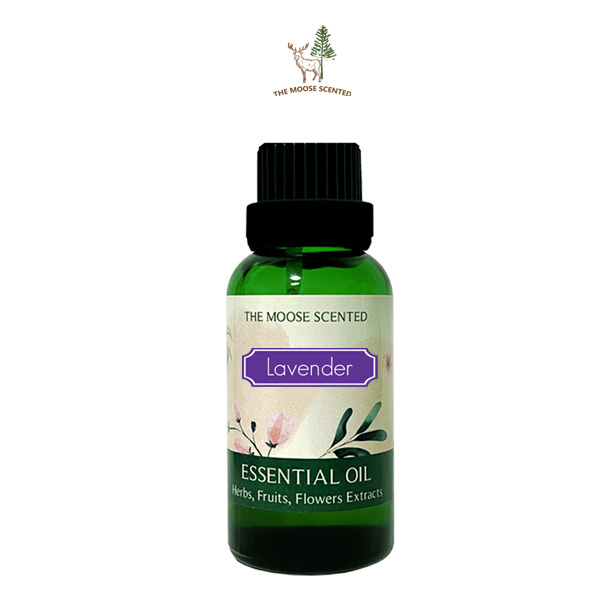 Lavender Essential Oil