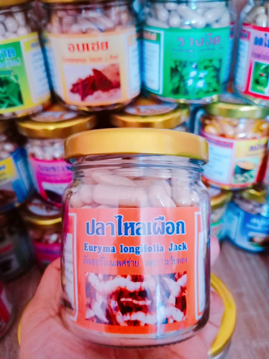 ปลาไหลเผือก พรหมรังสี