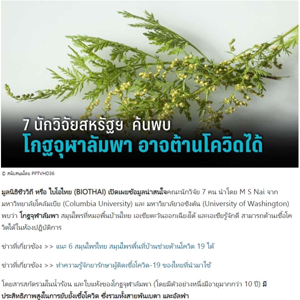 ไฟโตแคร์ จันทน์ลีลา 30เม็ด