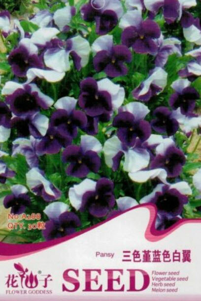 แพนซี บลูวิงส์ (Pansy blue wings) / ซอง 30 เม็ด (A288)