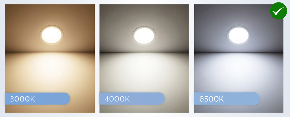 Philips ดาวน์ไลท์ ฟิลิปส์ LED 8 นิ้ว 24W รุ่น DN020B แสงคูลวท์ 6500K