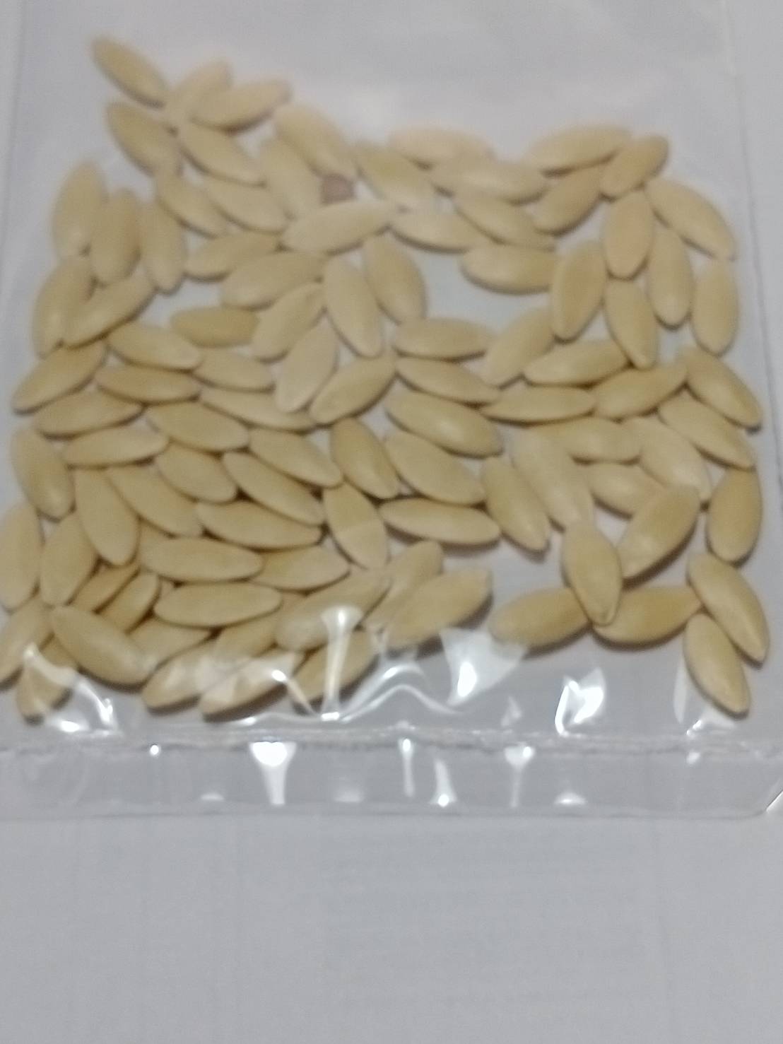 แตงกวาหวานอังกฤษ เบ็ธ แอลฟ่า (Cucumber - Beth Alpha) / 45 เม็ด (UK)