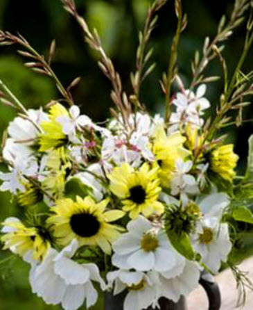 ทานตะวัน วนิลา ไอซ์ (Sunflower - Vanila Ice) / 60 เม็ด (UK)