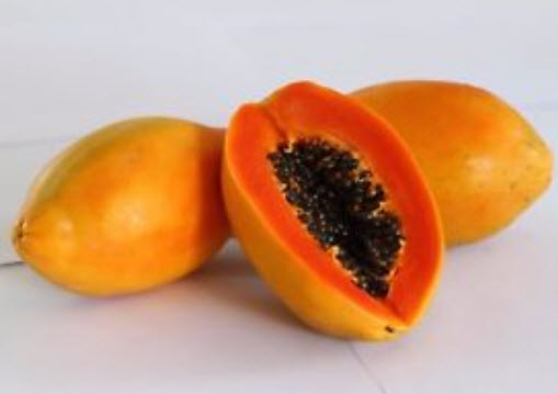 มะละกอ เรดเลดี้ (Red Lady Papaya) / 20 เม็ด (Sri Lanka)