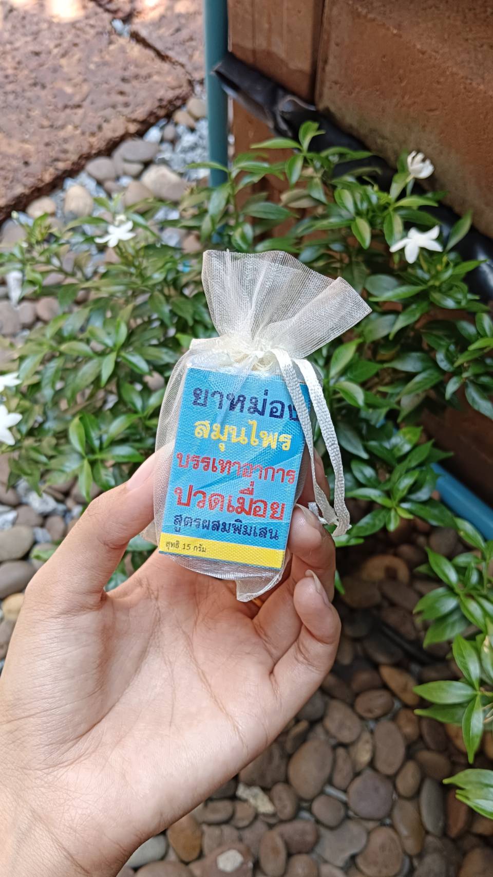 ยาหม่องสมุนไพร หงส์ไทย