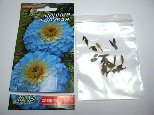 บานชื่นสีฟ้า ( Zinnia haageana blue #764) / ซอง 30 เม็ด (Ukraine)