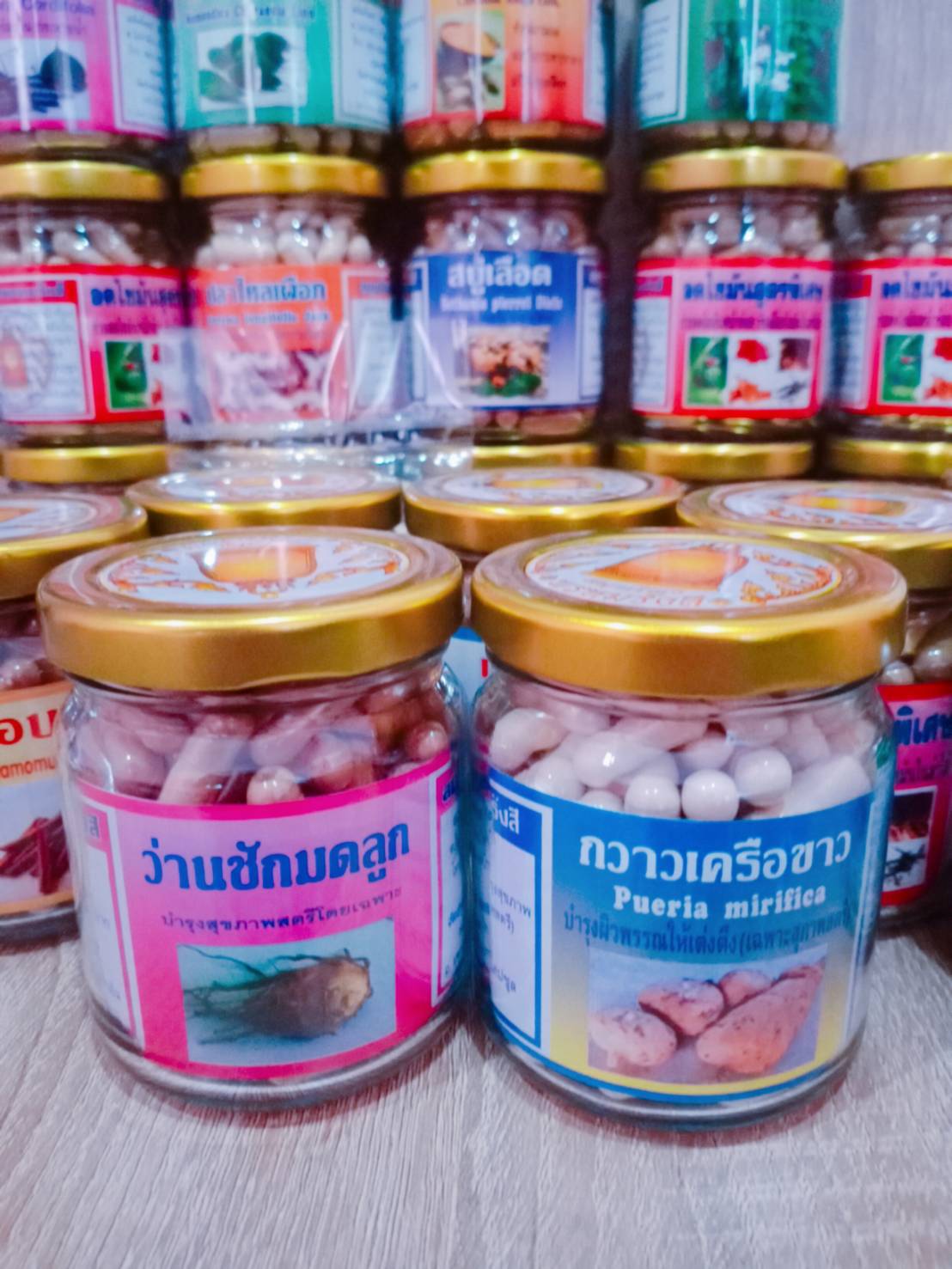 ว่านชักมดลูก สมุนไพรพรหมรังสี