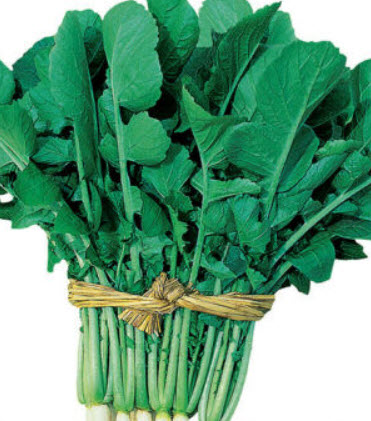 Young Radish [Honam Young Radish] / 300 เม็ด (Korea)
