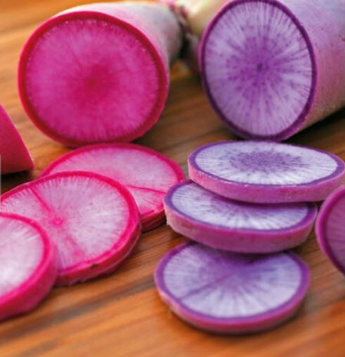 หัวไชเท้า Bluemoon & Redmoon F1 Hybrid คละ / 100 เม็ด (UK)