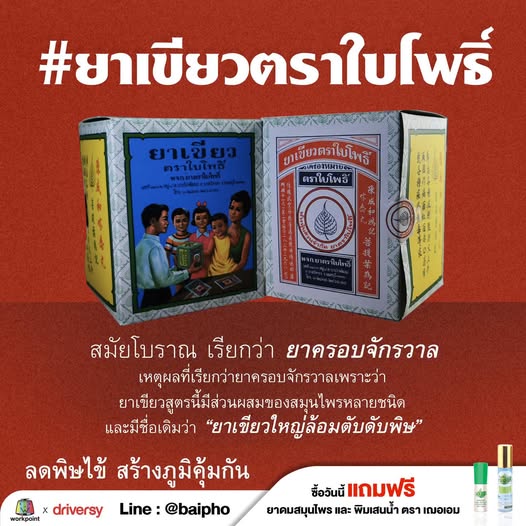 ยาเขียว ชนิดเม็ด ตราใบโพธิ์ 12ซอง(ซองละ15เม็ด) แก้ไข้ แก้ร้อนใน กระหายน้ำ แก้ไข้อีสุกอีใส ไข้ตัวร้อน ลดพิษไข้ เชื้อไวรัส ถอนพิษไข้ ไข้หวัด ขับลม ท้องอืด ท้องเฟ้อ