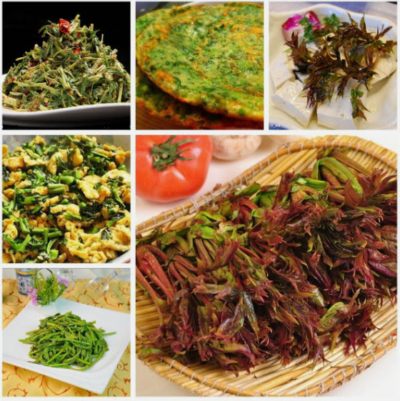 มะฮอกกานีจีน (Chinese Mahogany) หรือฟลามิงโก้ / 50 เม็ด (France)*