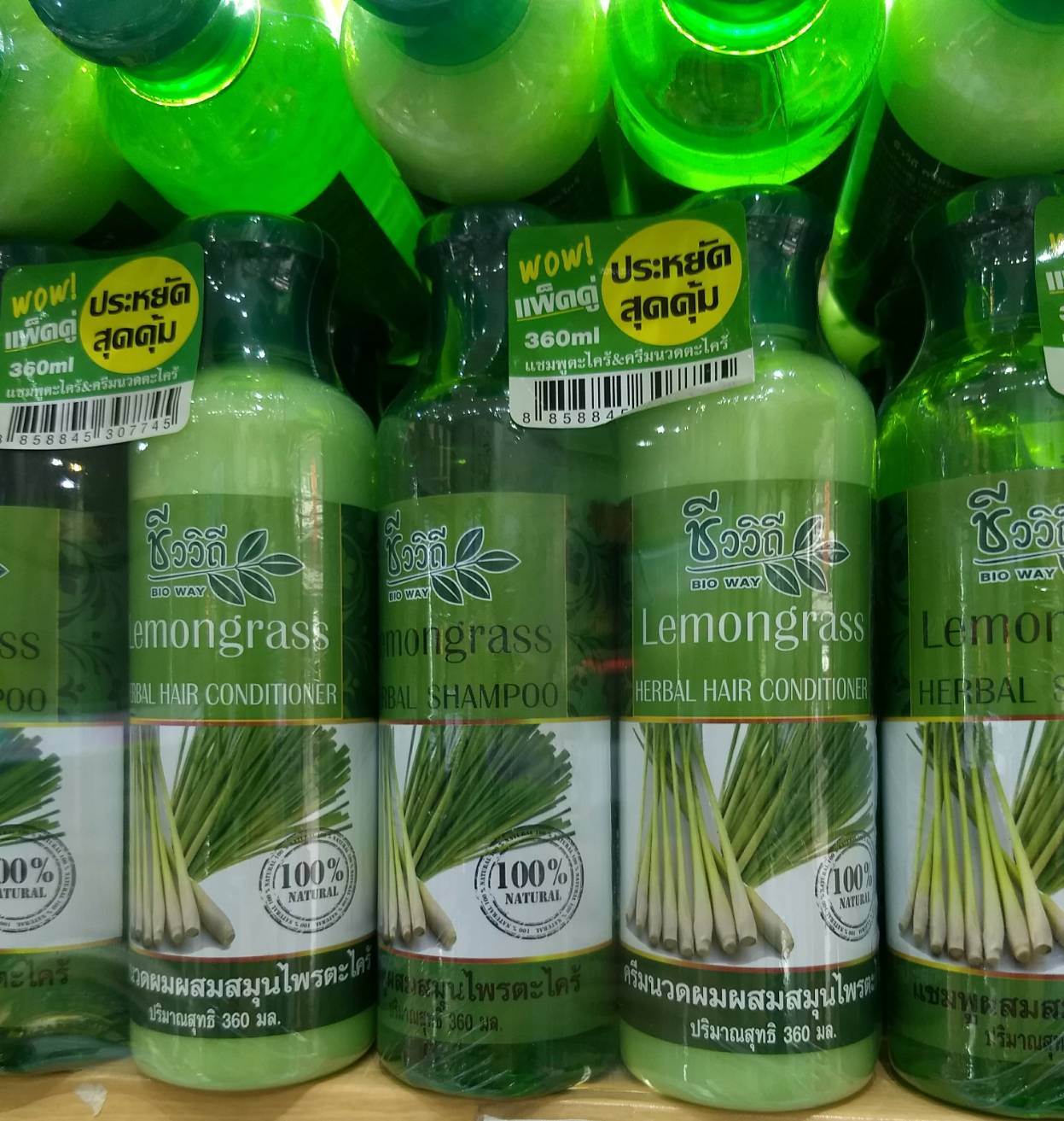 ชีววิถี แชมพูผสมสมุนไพร + ครีมนวดผสมสมุนไพร